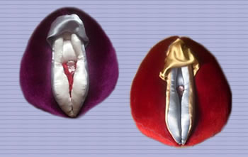 vulva puppets